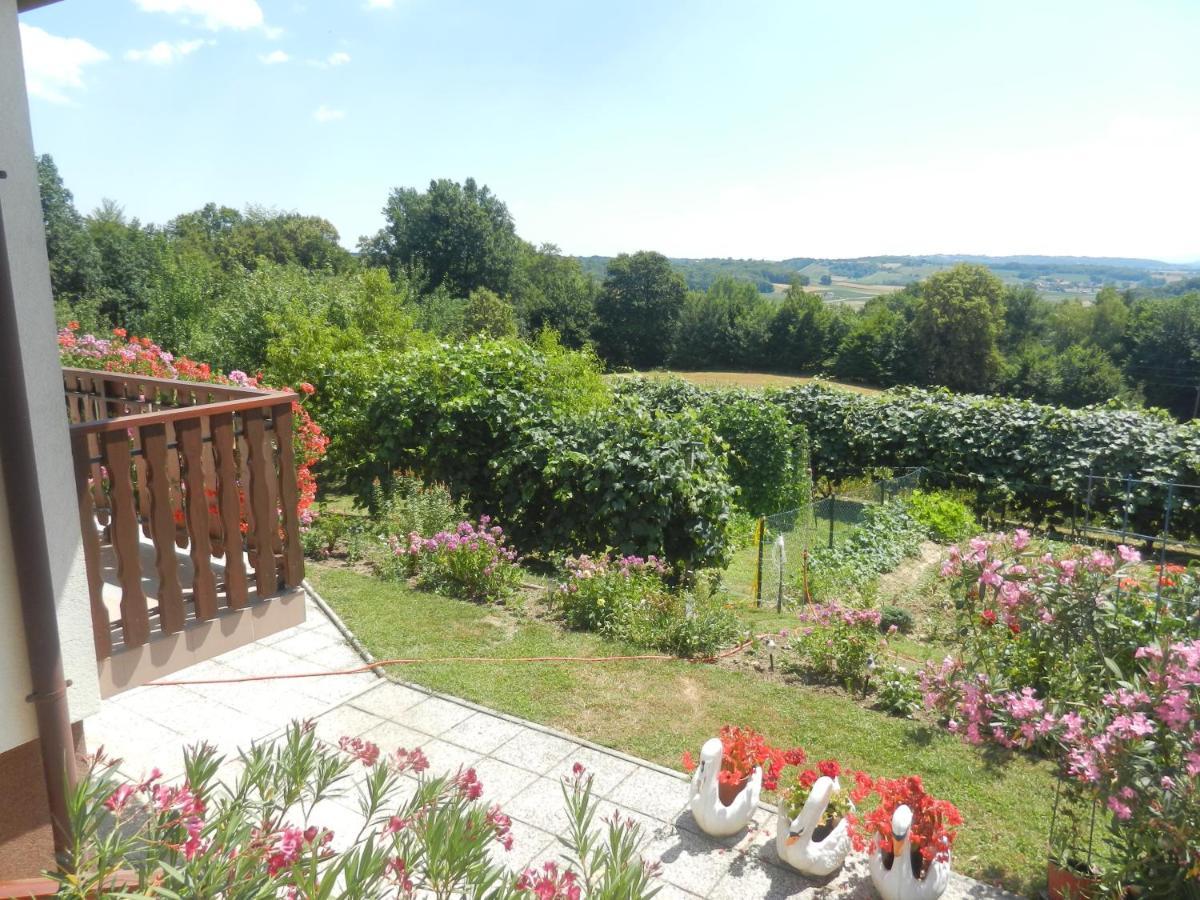 Urlaub Fuer Die Seele - Erholung Pur In Der Natur - Ferienhaus Mit Infrarotkabine & Relax-Raum Rucmanci Exteriör bild