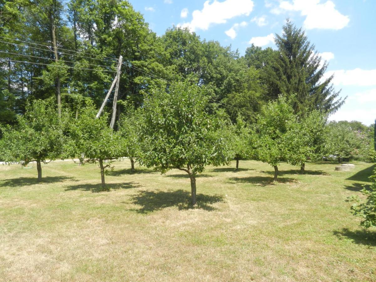 Urlaub Fuer Die Seele - Erholung Pur In Der Natur - Ferienhaus Mit Infrarotkabine & Relax-Raum Rucmanci Exteriör bild