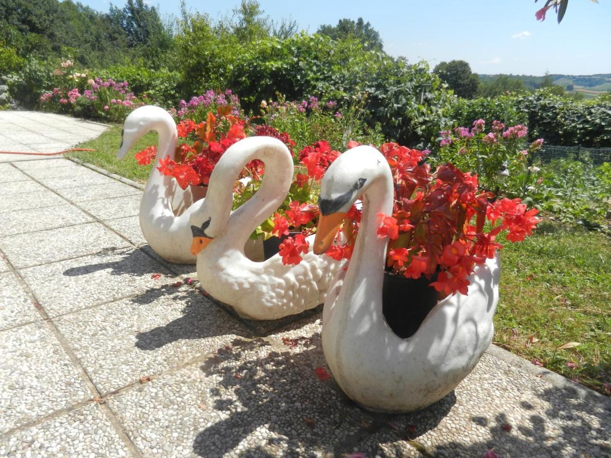 Urlaub Fuer Die Seele - Erholung Pur In Der Natur - Ferienhaus Mit Infrarotkabine & Relax-Raum Rucmanci Exteriör bild