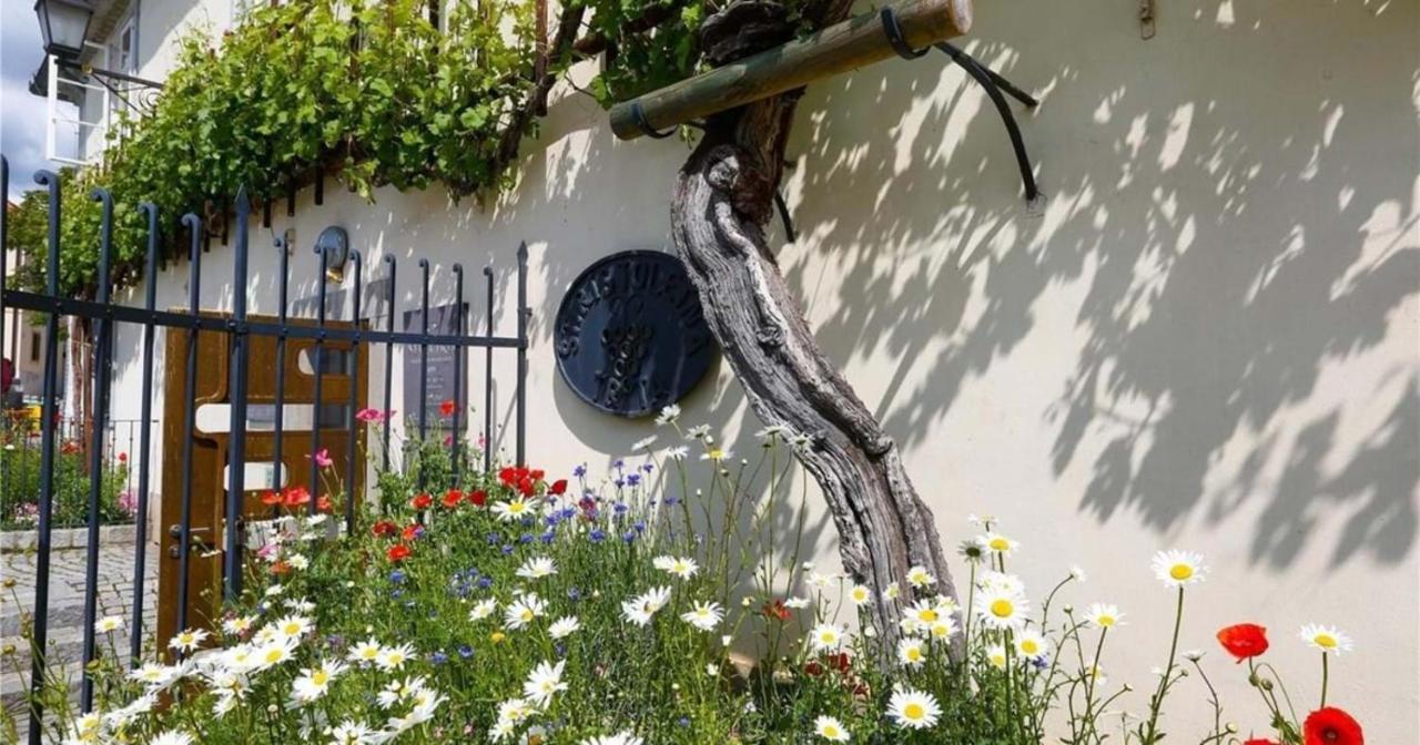 Urlaub Fuer Die Seele - Erholung Pur In Der Natur - Ferienhaus Mit Infrarotkabine & Relax-Raum Rucmanci Exteriör bild