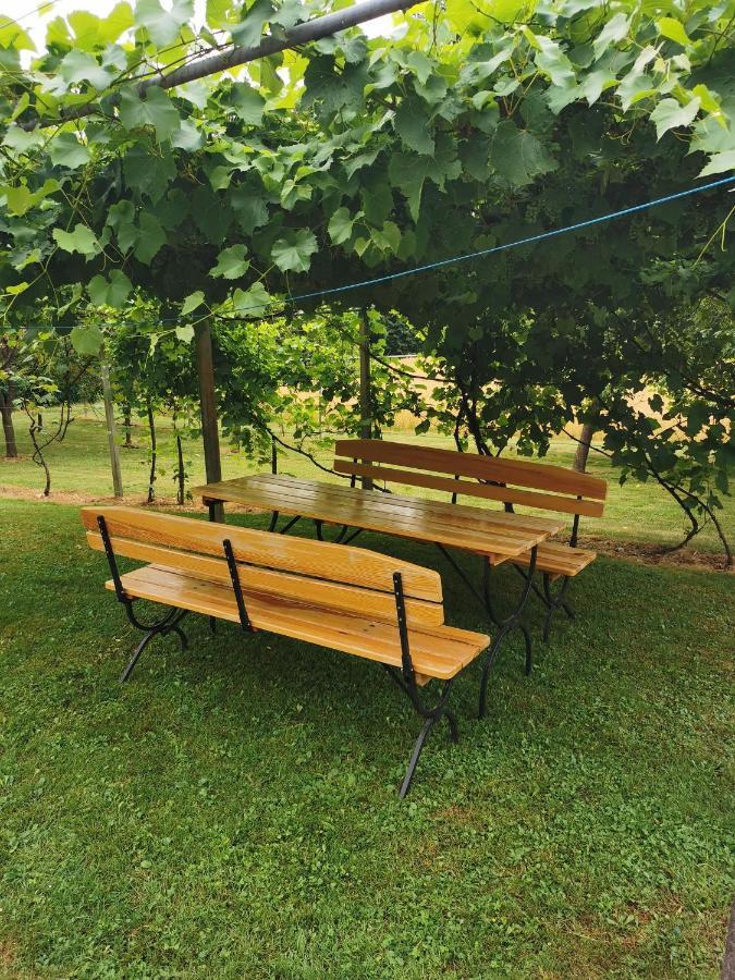 Urlaub Fuer Die Seele - Erholung Pur In Der Natur - Ferienhaus Mit Infrarotkabine & Relax-Raum Rucmanci Exteriör bild